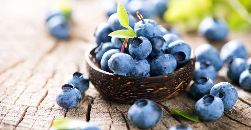 Die Blaubeere ist eines der besten Superfoods, die in Deutschland beheimatet sind. ( Lizenzdoku: Shutterstock-Subbotina Anna )