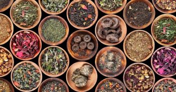 Vielfalt im Teegenuss: Tag des Tees 2023 feiert die ganze Welt in der (Foto: AdobeStock - Africa Studio 113479887)